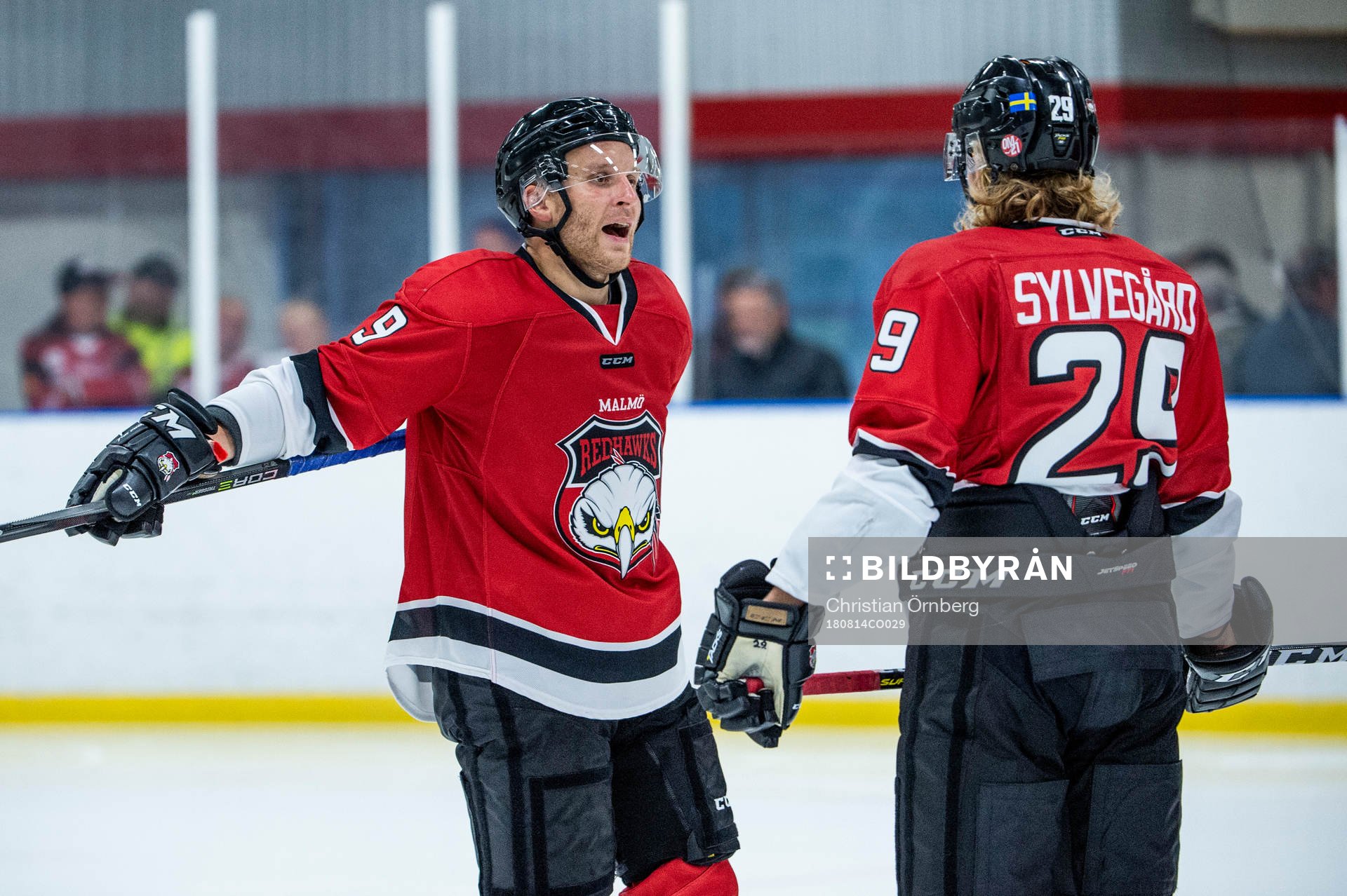 Malmö Redhawks Frederik Storm och Marcus Sylvegård
