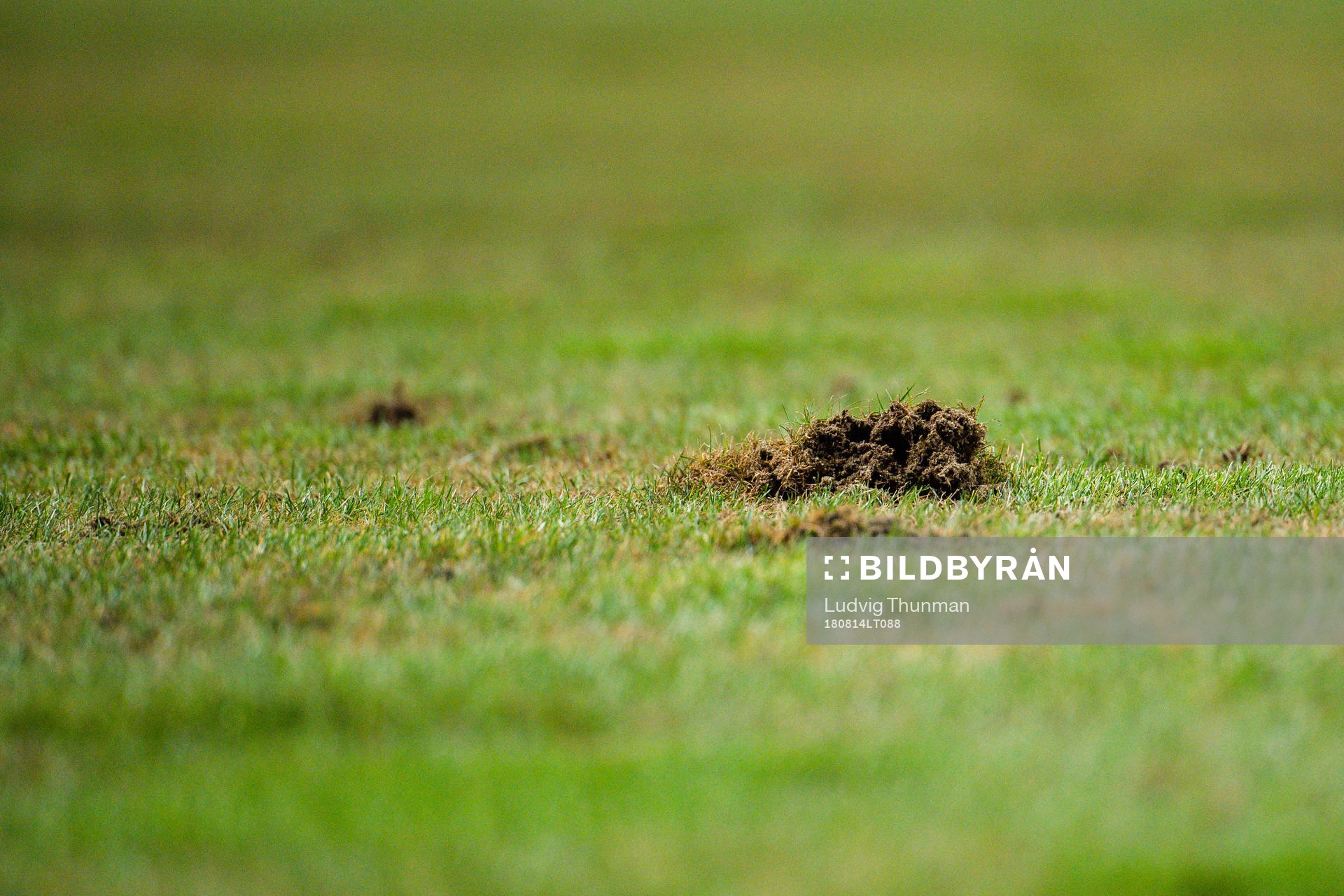 Detail shot of the pitch