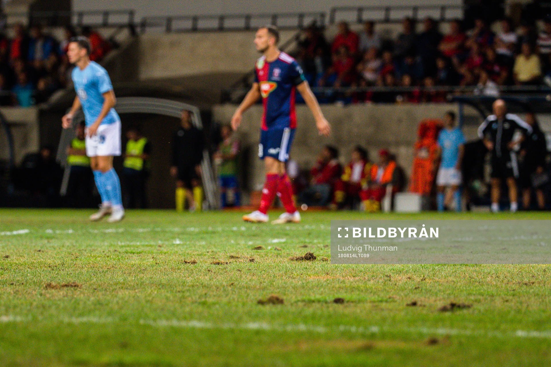 Detail shot of the pitch