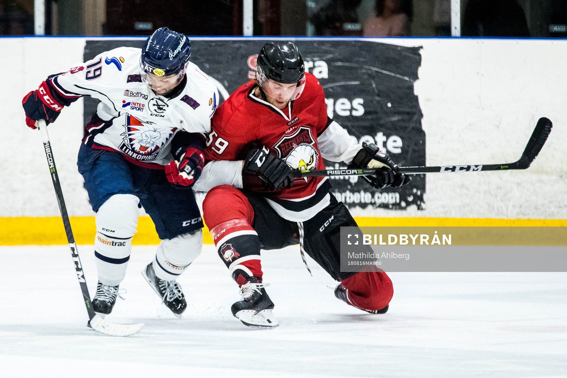 Linköpings Joe Whitney och Malmö Redhawks Anton Mylläri