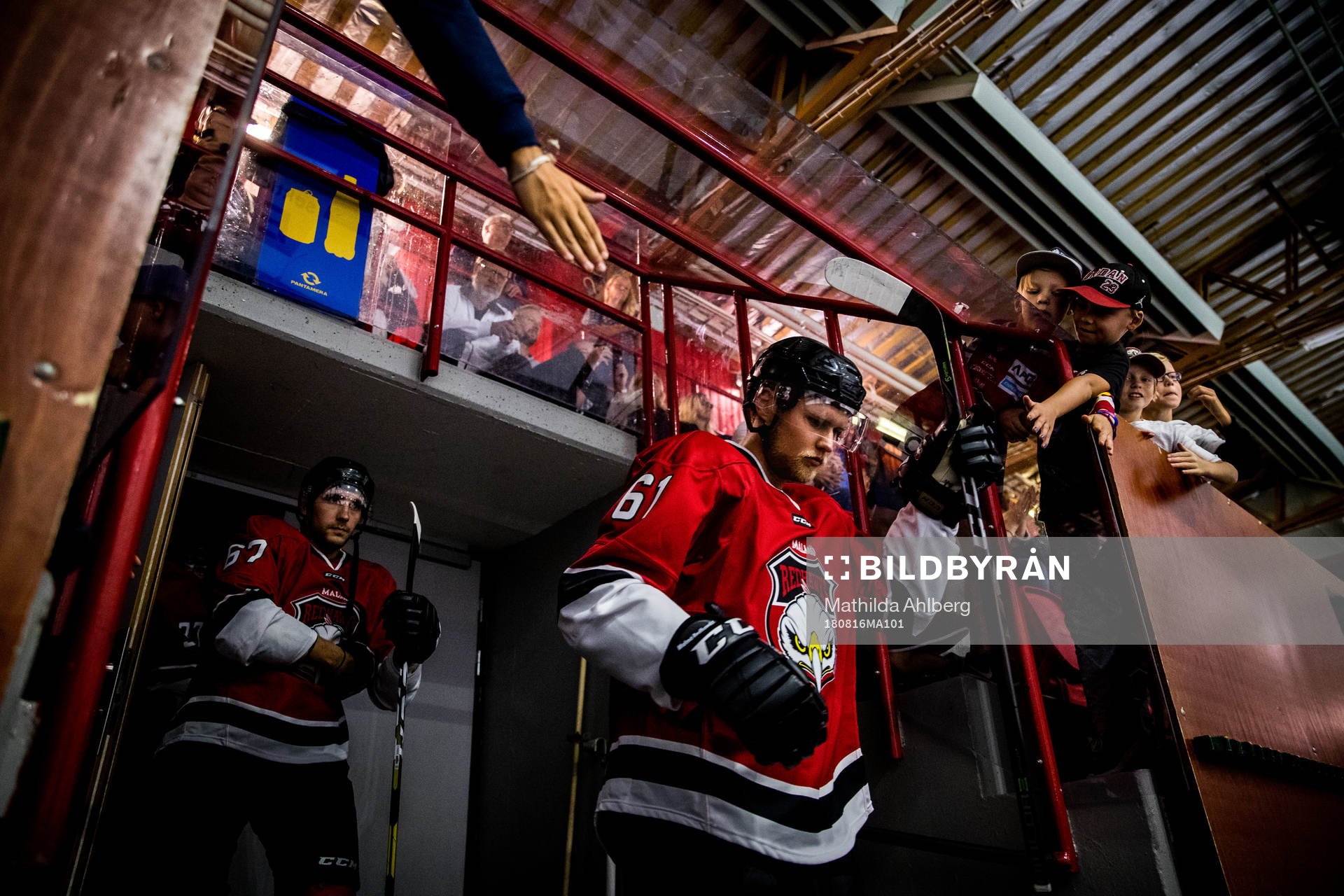 Malmö Redhawks Martin Janohls