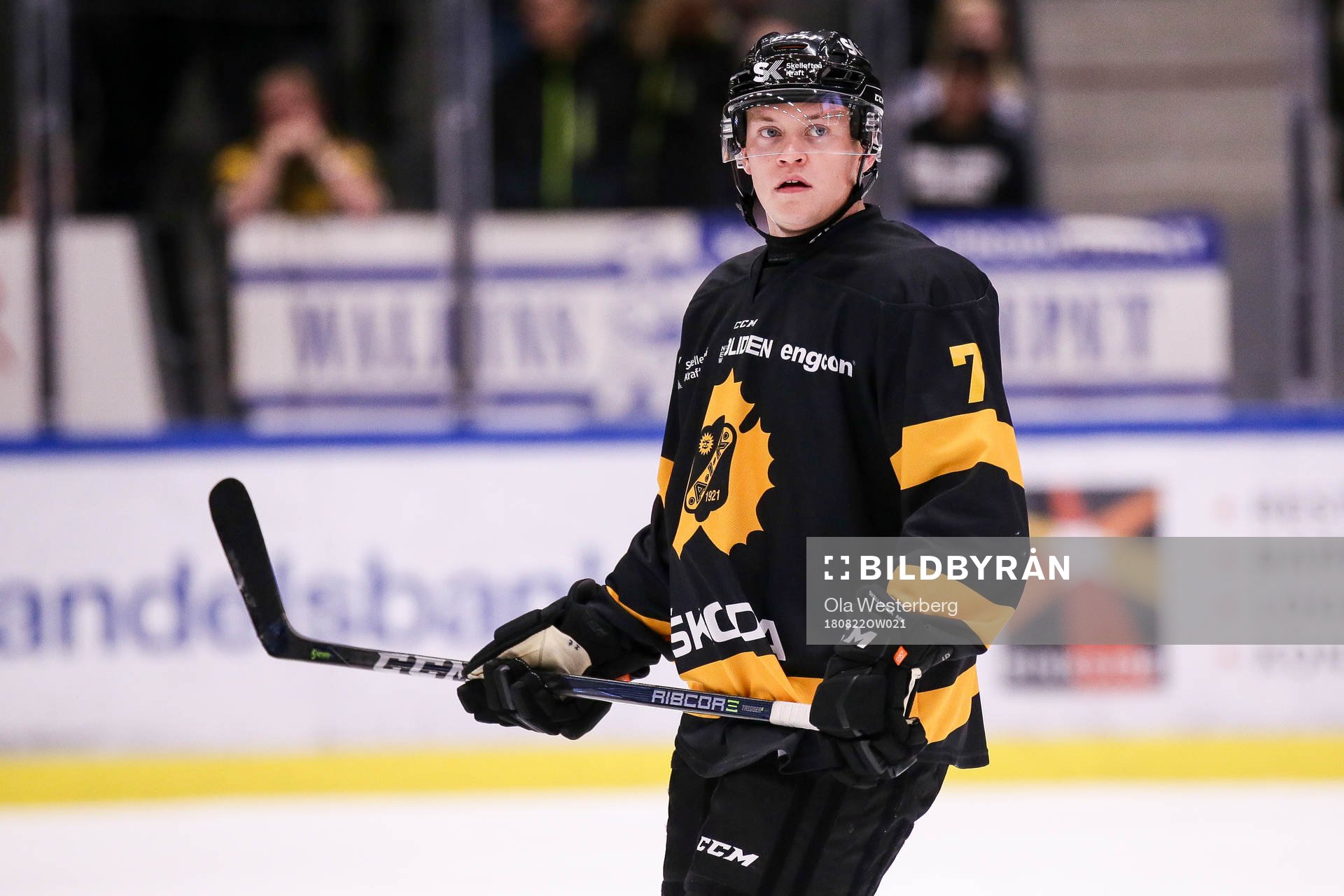 Skellefteås Felix Dahlroth