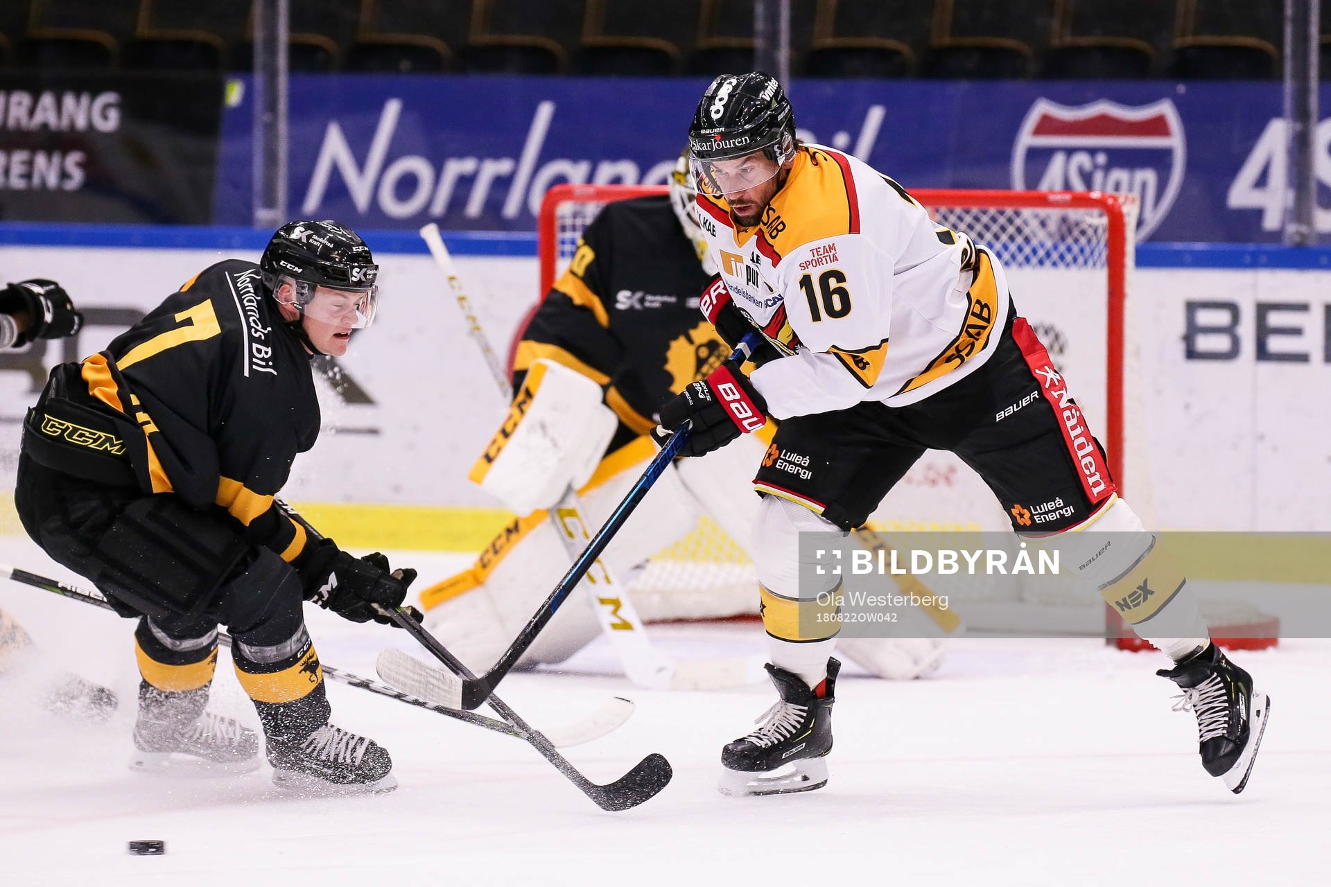 Skellefteås Felix Dahlroth