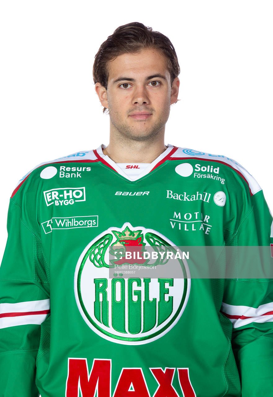 Rögles Ludvig Elvenes