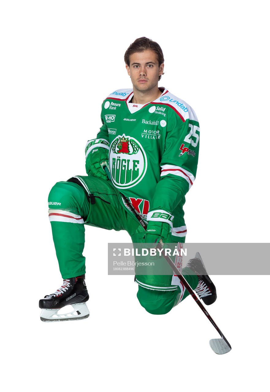 Rögles Ludvig Elvenes