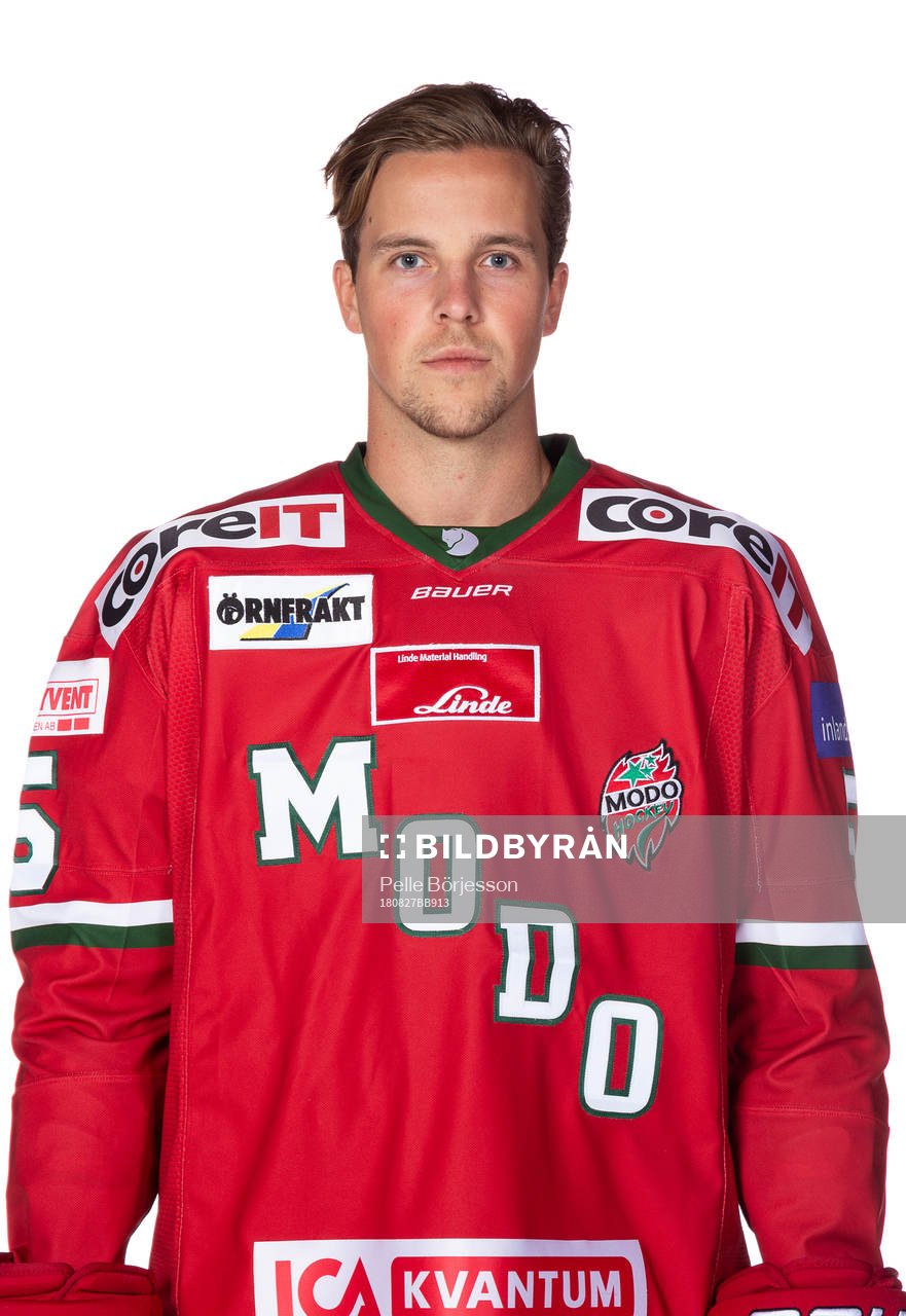 Modos Sebastian Walfridsson