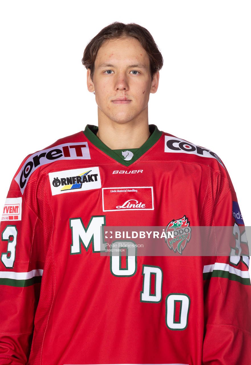 Modos Victor Berglund