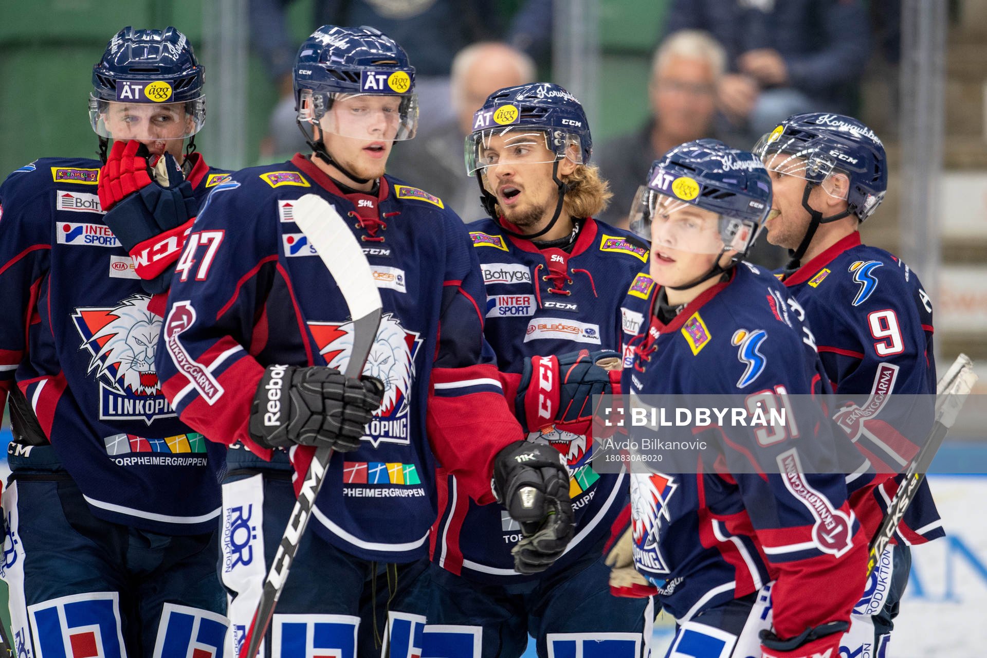 Linköpings Adam Brodecki jublar med lagkamrater