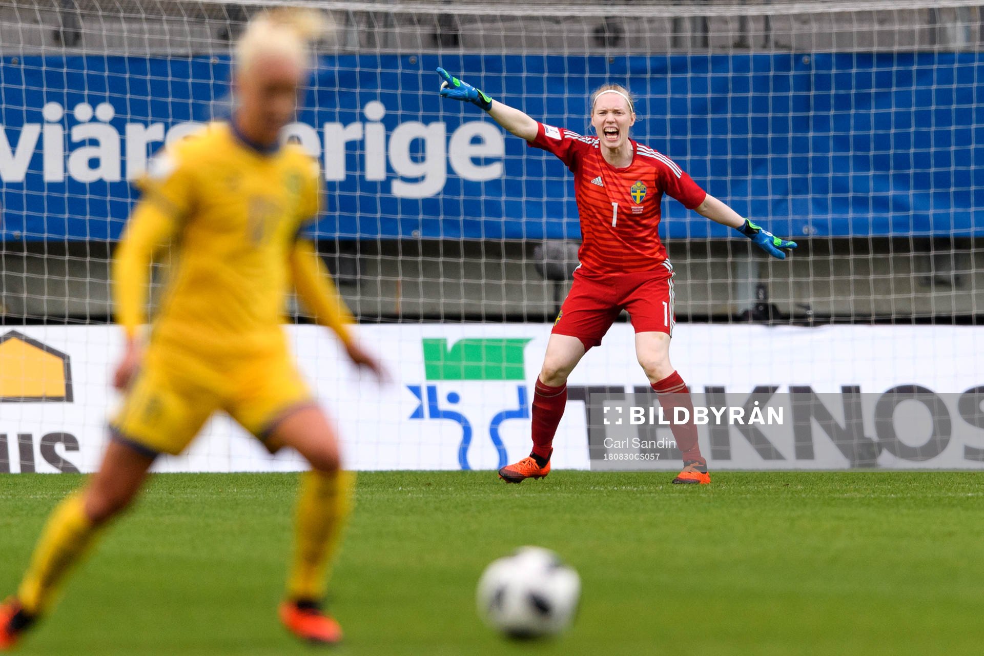 Sveriges målvakt Hedvig Lindahl