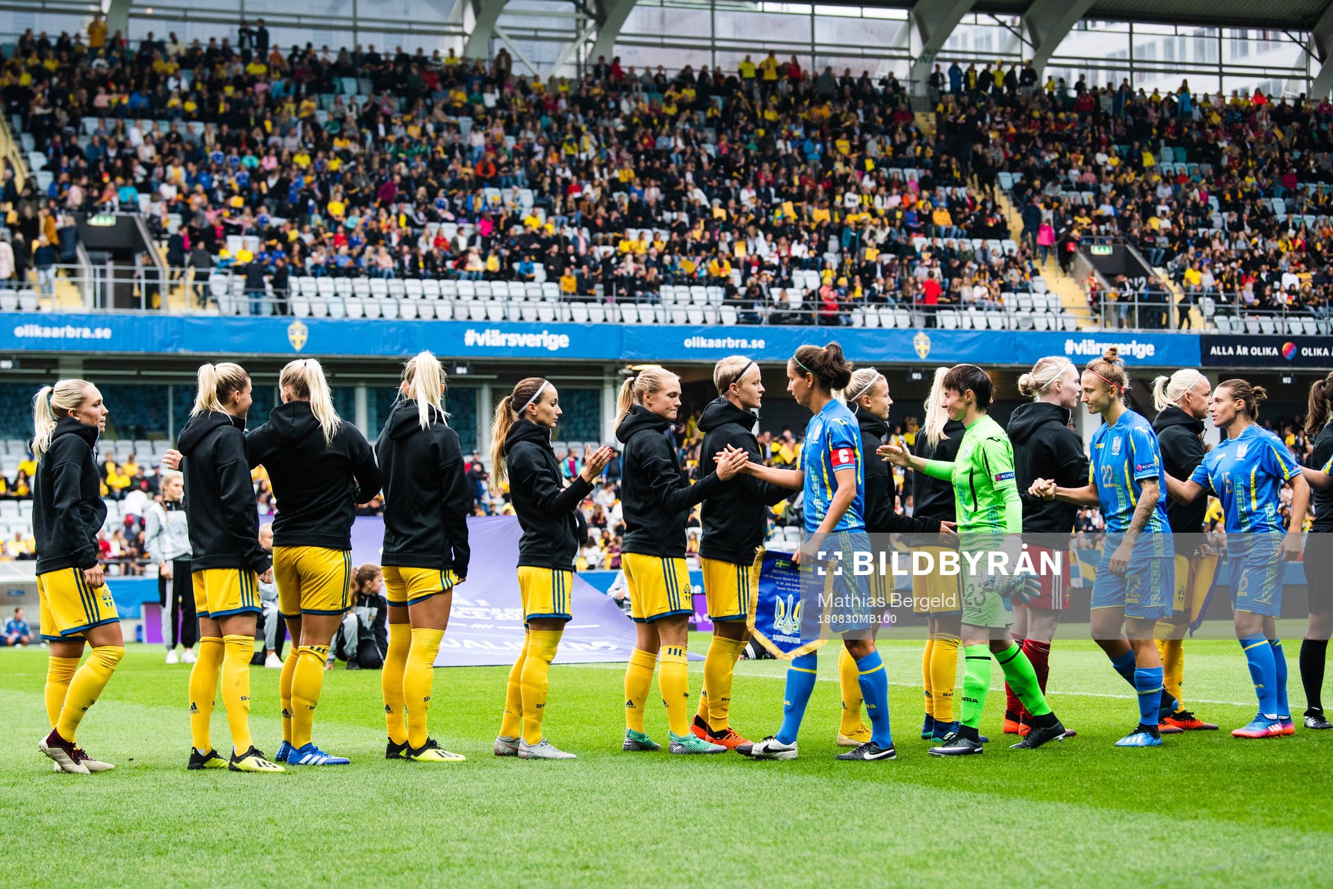 Sveriges och Ukrainas spelare hälsar på varandra