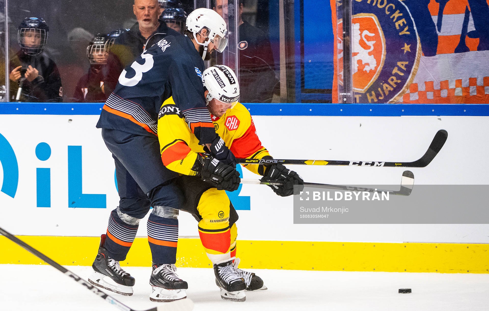 Roman Horak of Växjö and Beat Gerber of Bern