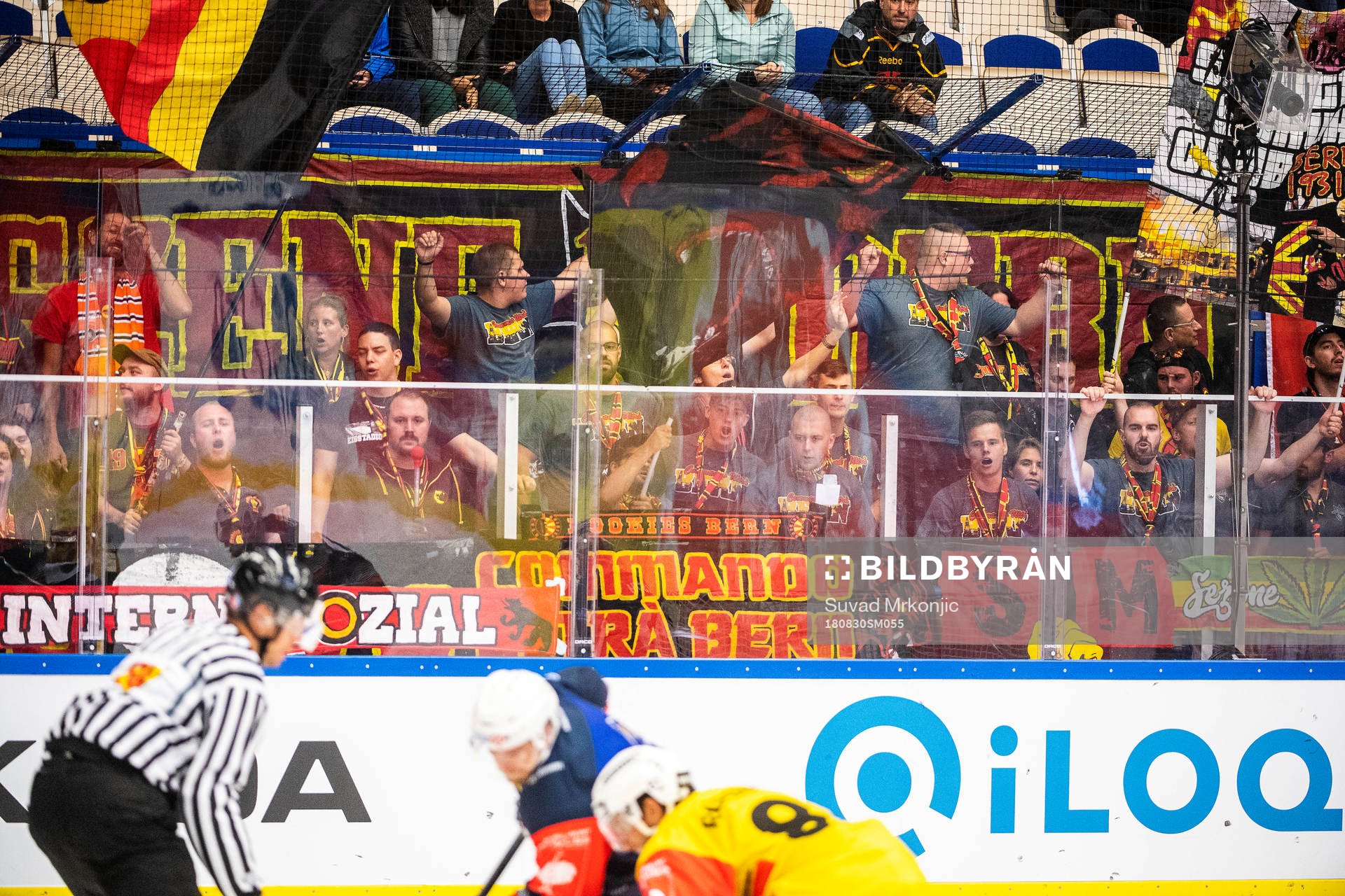Supporters of Bern