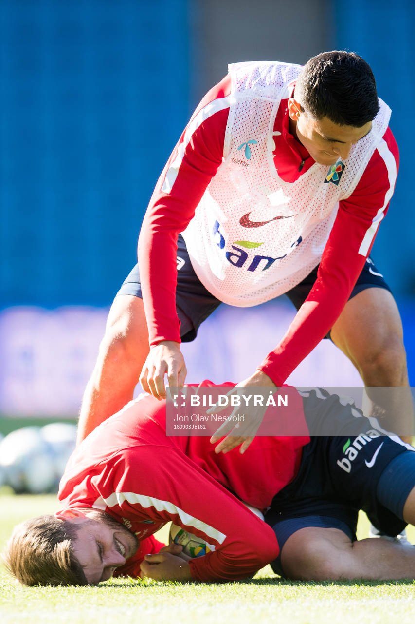 Håvard Nordtveit and Mohamed Elyounoussi of Norway