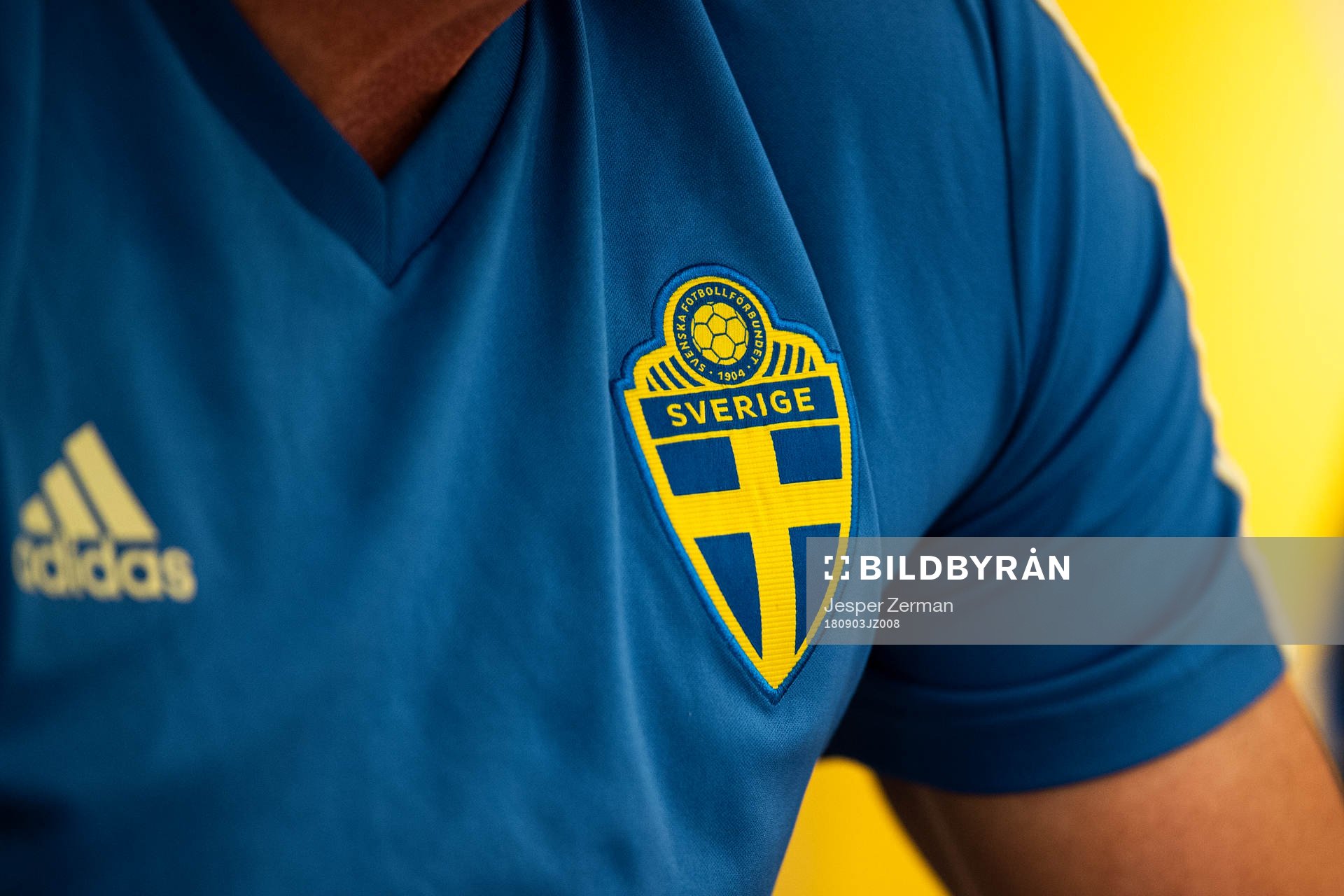 Svenska Fotbollsförbundets logotyp under en presskonferens anordnad av Svenska Fotbollsförbundet den 3 september 2018 i Stockholm.