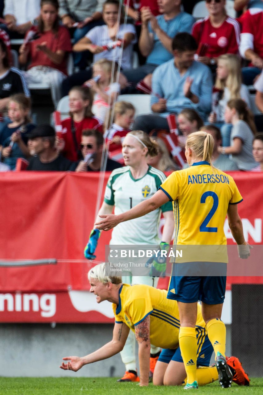 Sveriges Nilla Fischer reagerar mot domaren