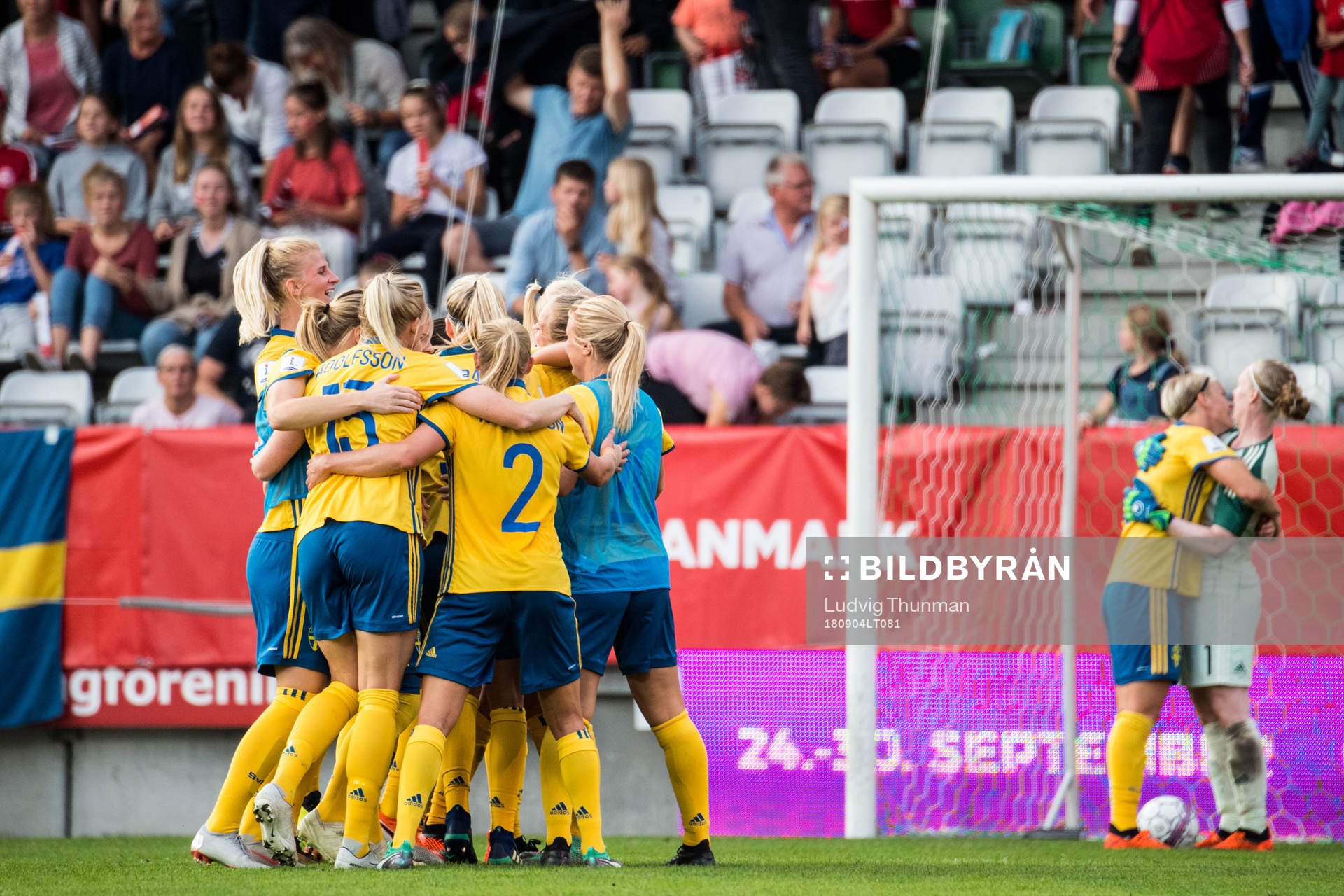 Sveriges spelare jublar