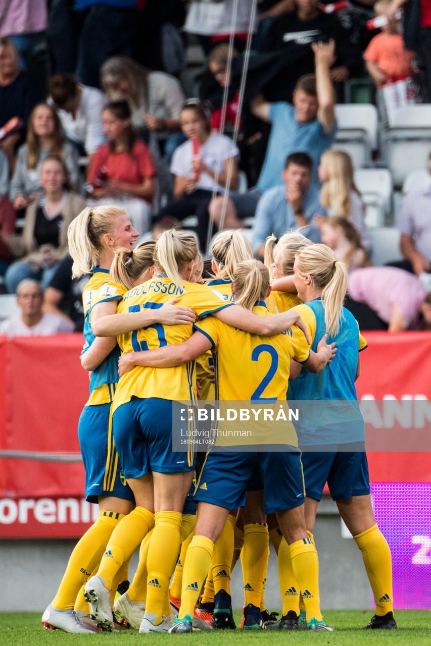 Sveriges spelare jublar