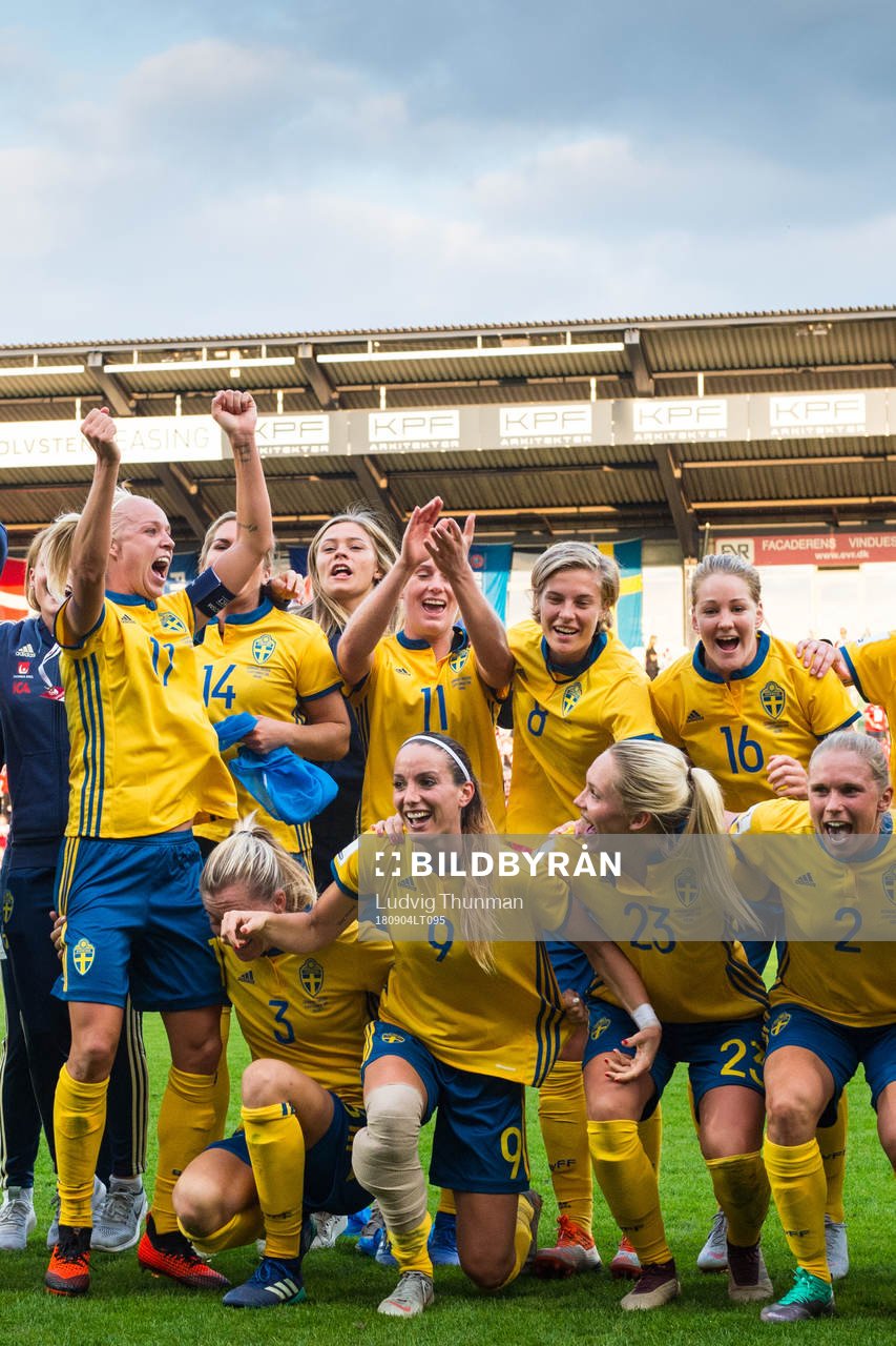Sveriges spelare jublar efter VM-kvalmatchen i fotboll mellan Danmark och Sverige den 4 september 2018 i Viborg.