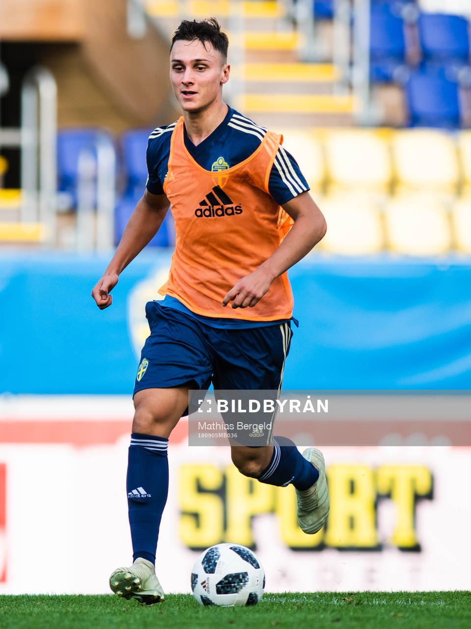Jonathan Levi