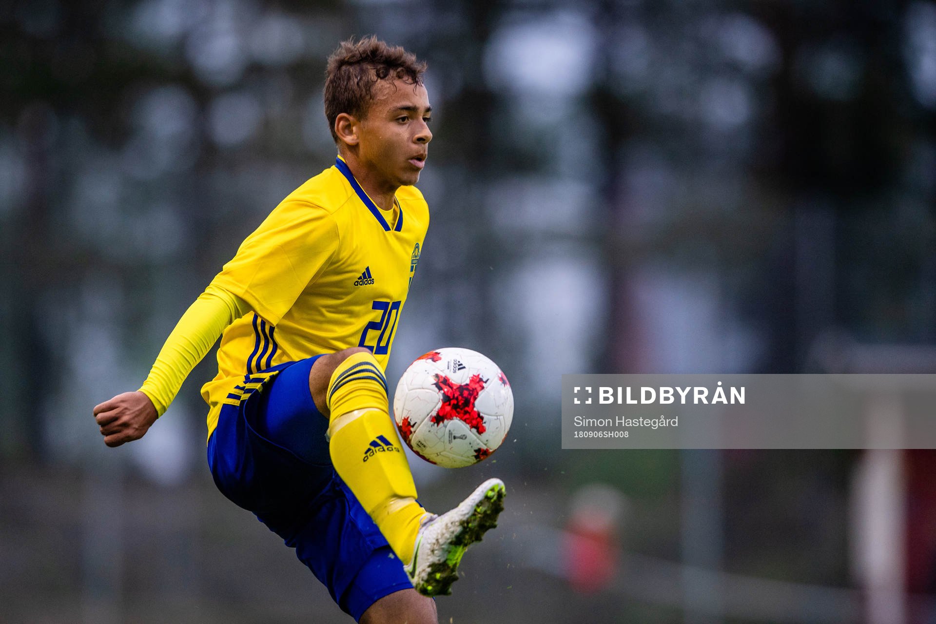 Sveriges Niklas Persson