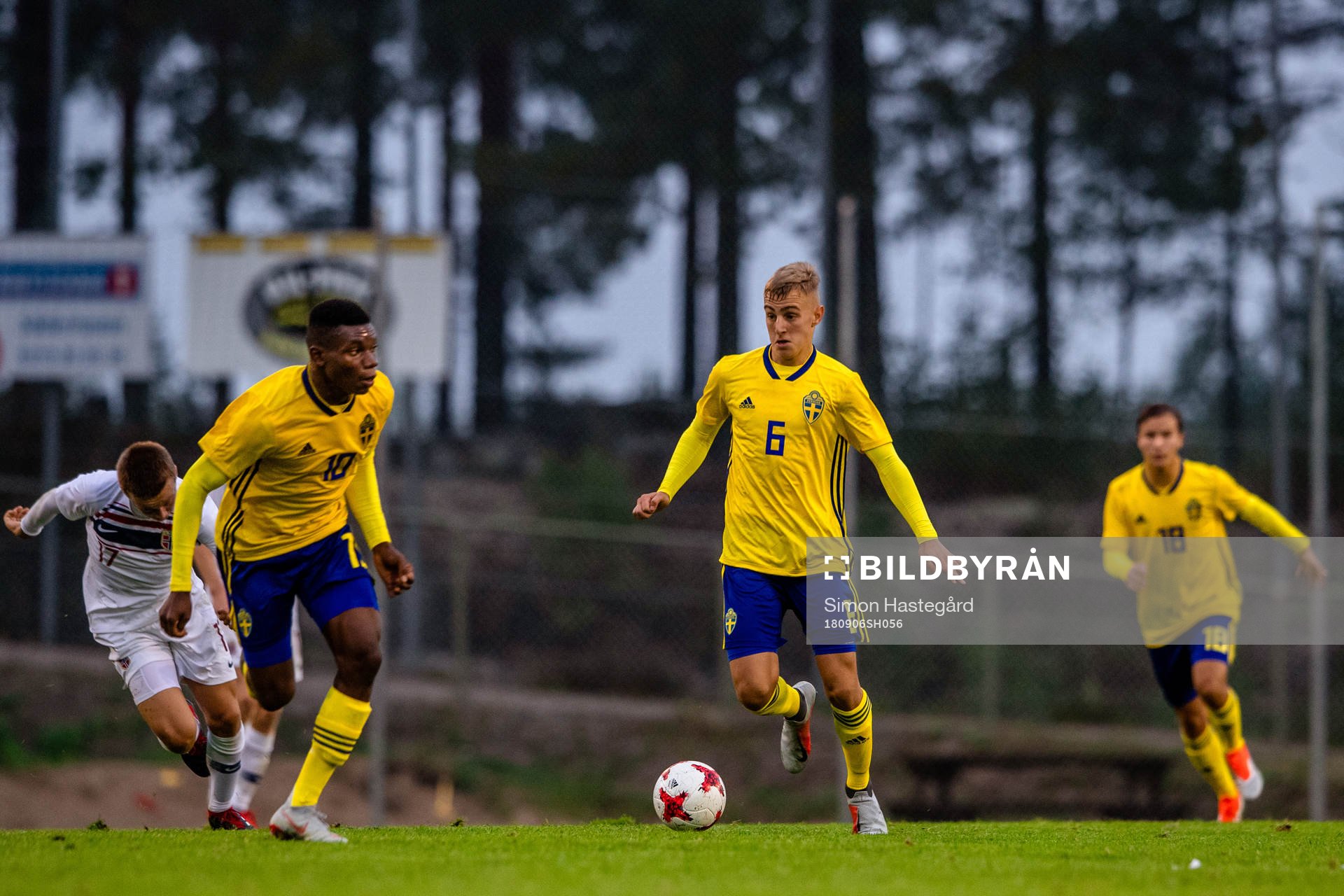 Sveriges Sylvin Kayembe och Amel Mujanic