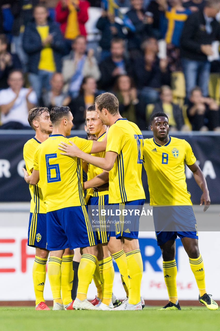 Sveriges Mattias Svanberg jublar med lagkamrater