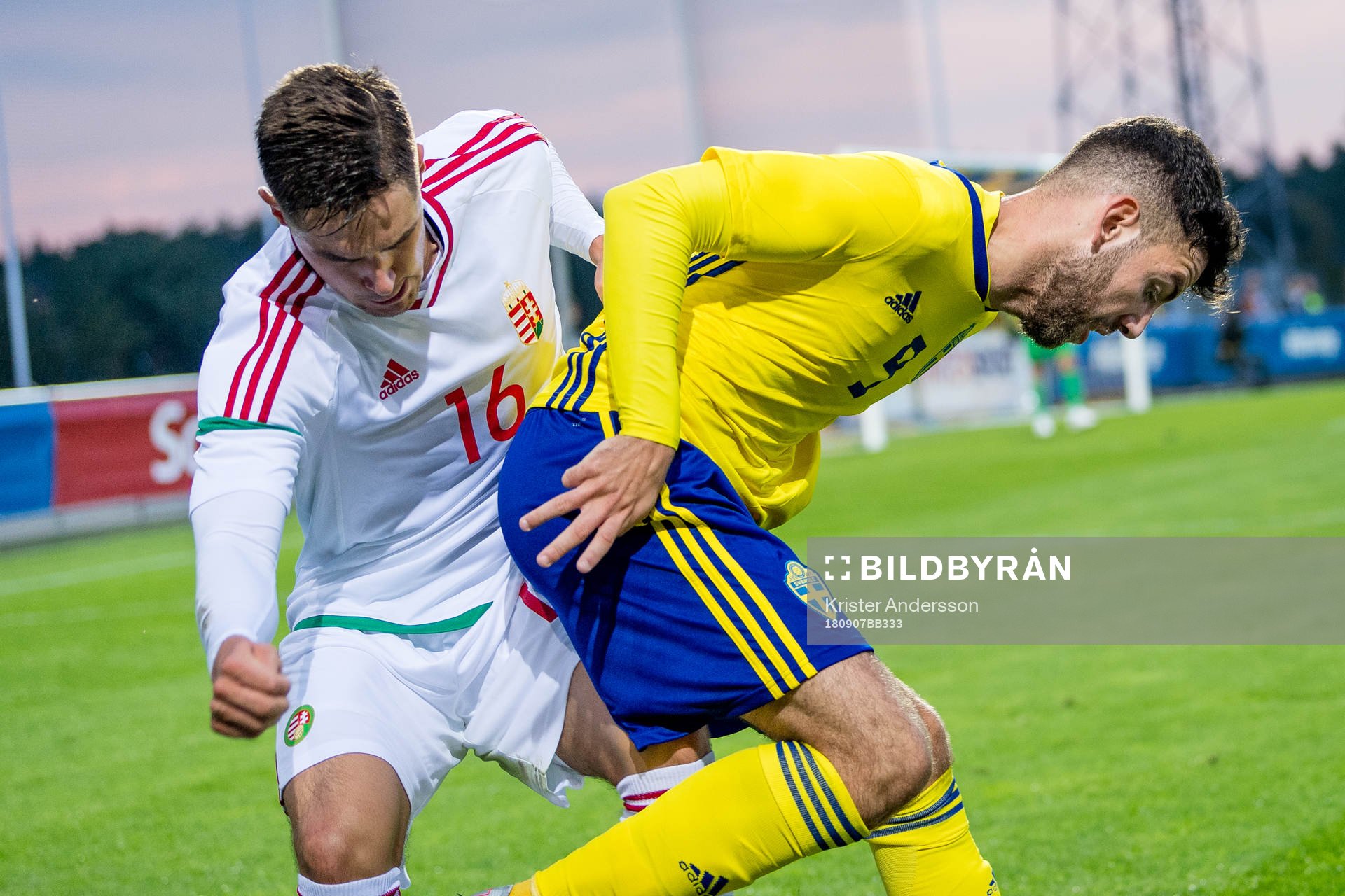 Ungerns Máté Katona och Sveriges Erdal Rakip