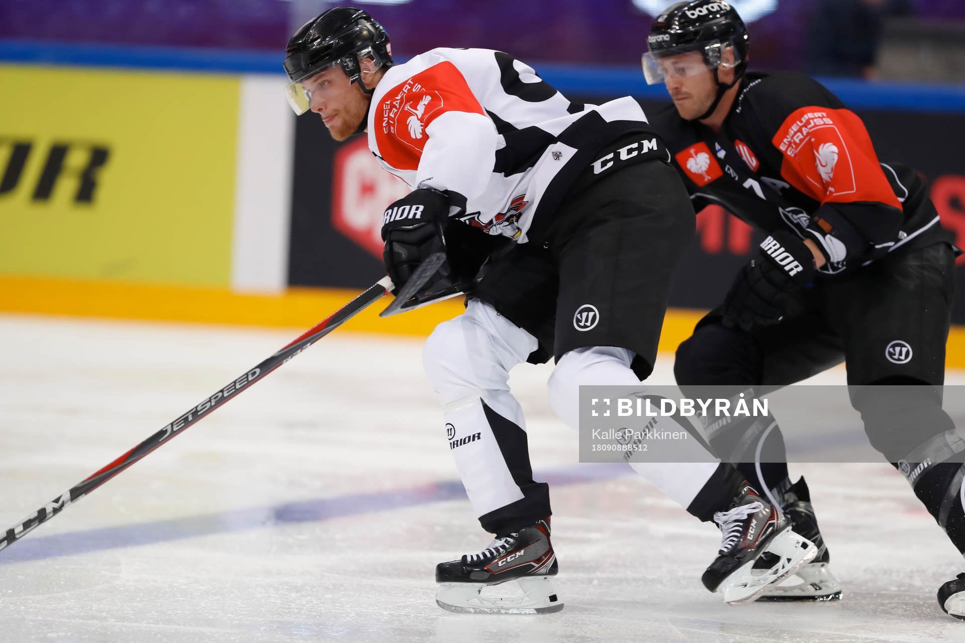 Max Görtz #91, Malmö Redhawks