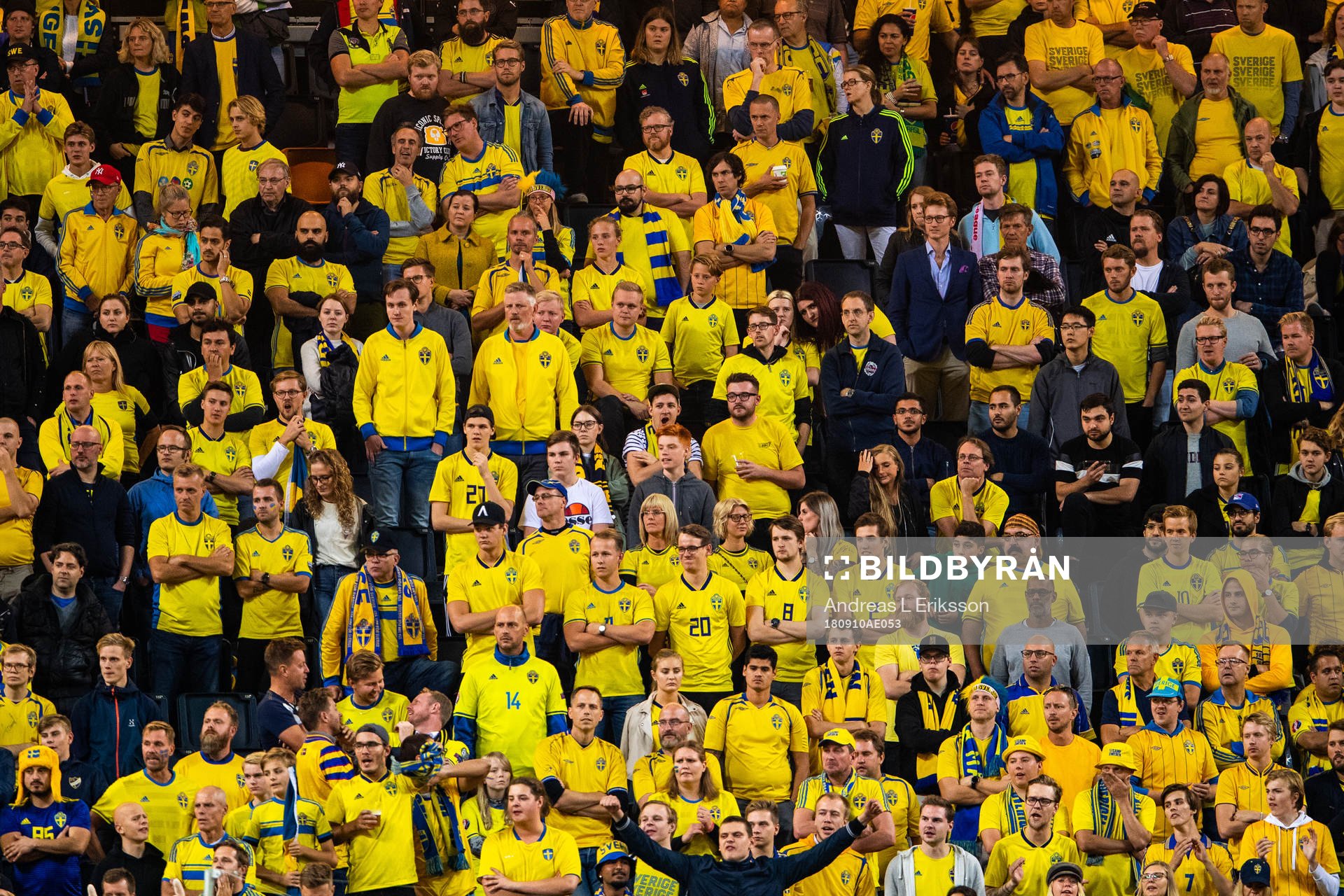 Supporters of Sweden