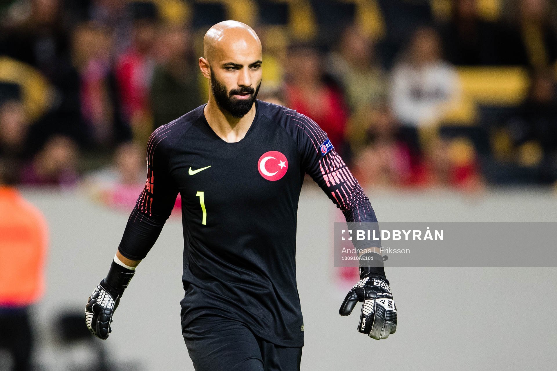 Goalkeeper Sinan Bolat of Turkey