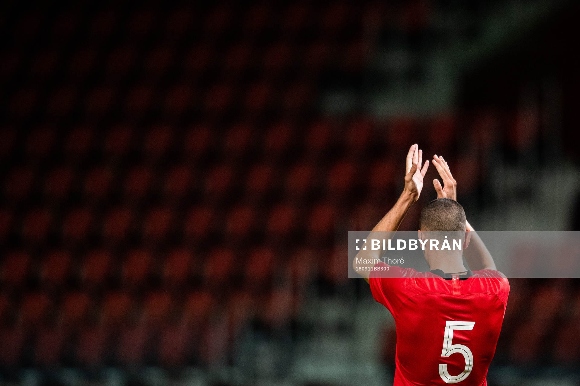 Turkiets Merih Demiral jublar