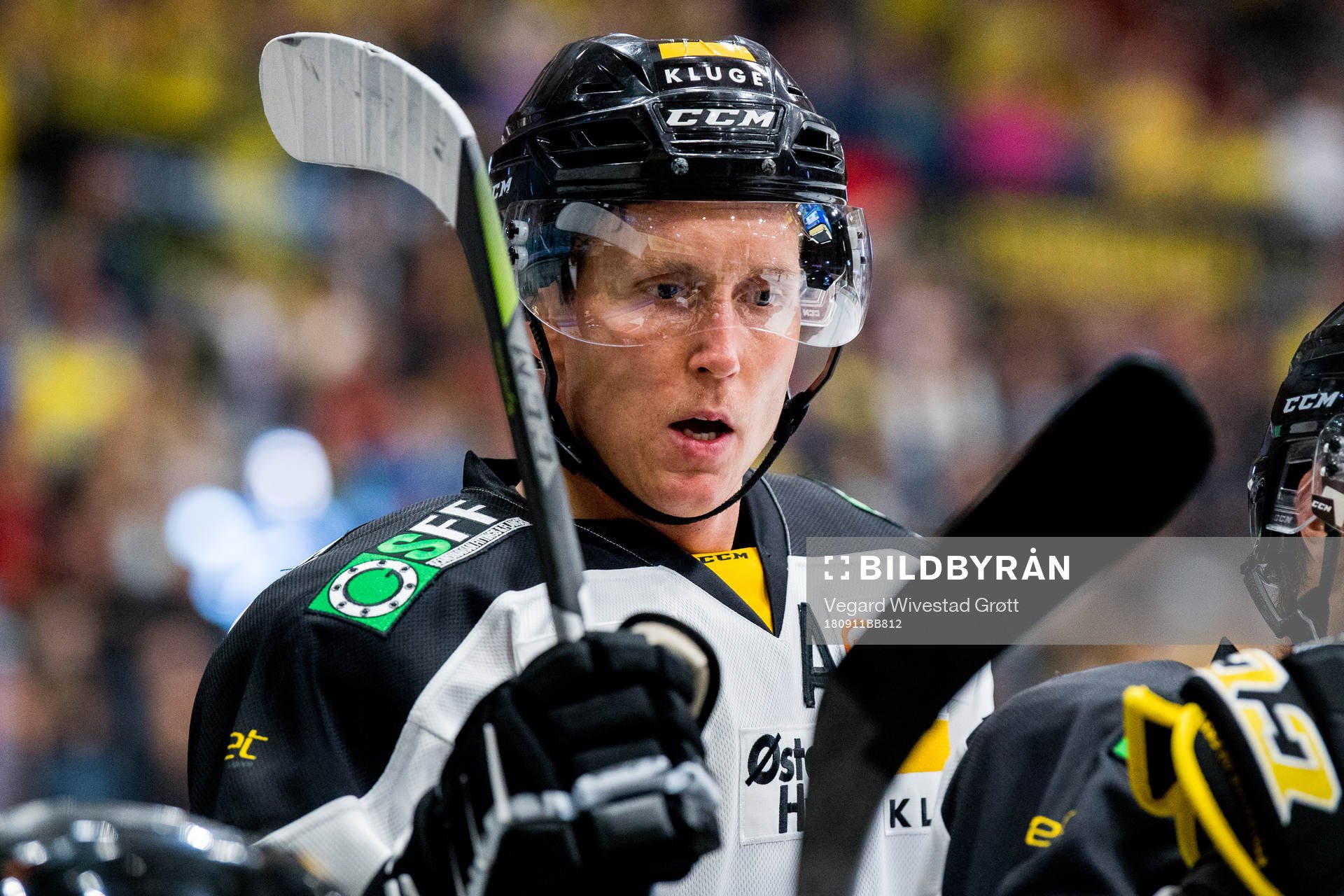 Dennis Sveum of Stavanger Oilers