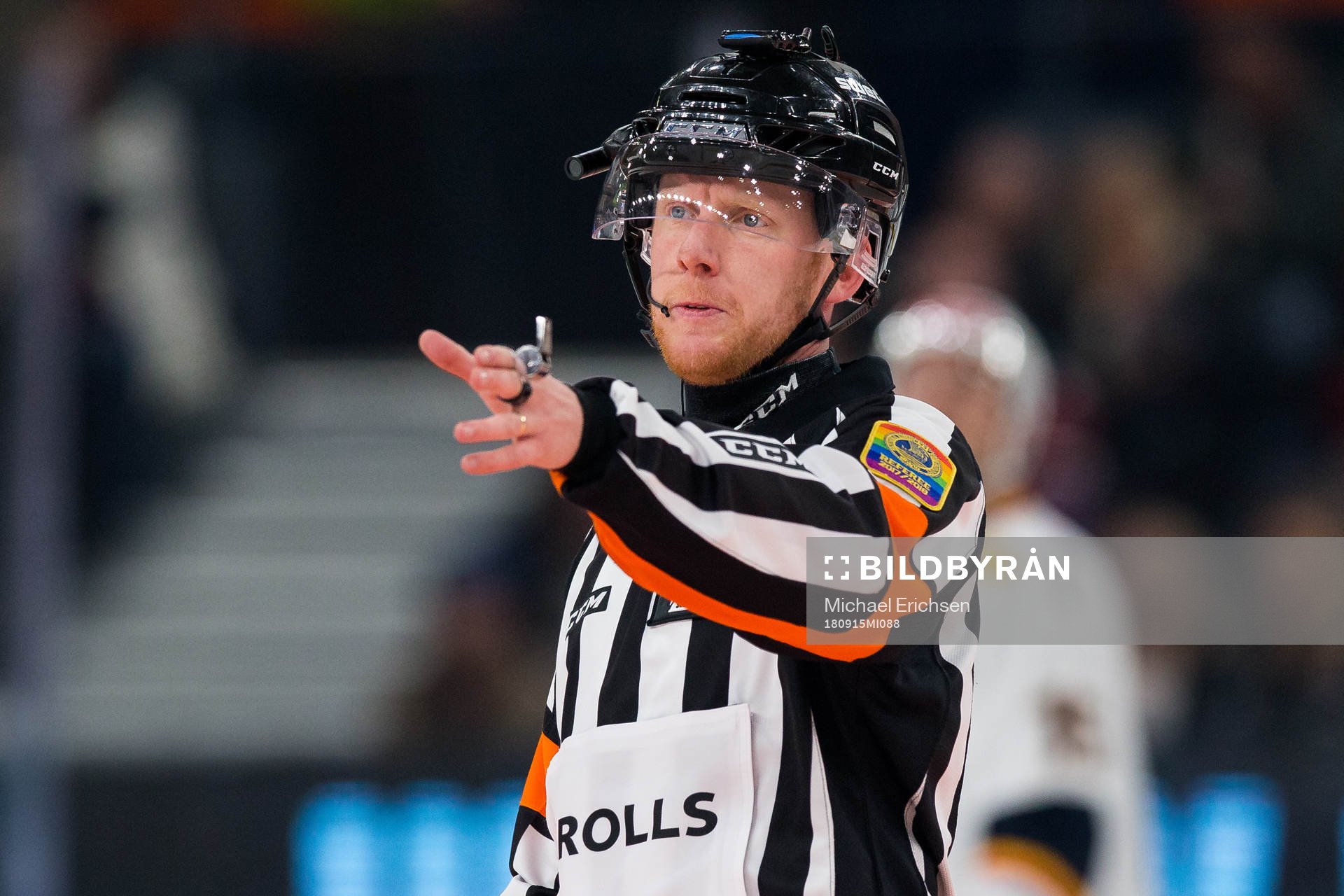 Domare Mikael Holm