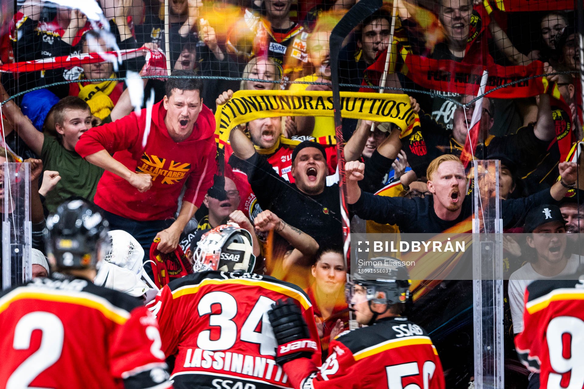Luleås supportrar jublar