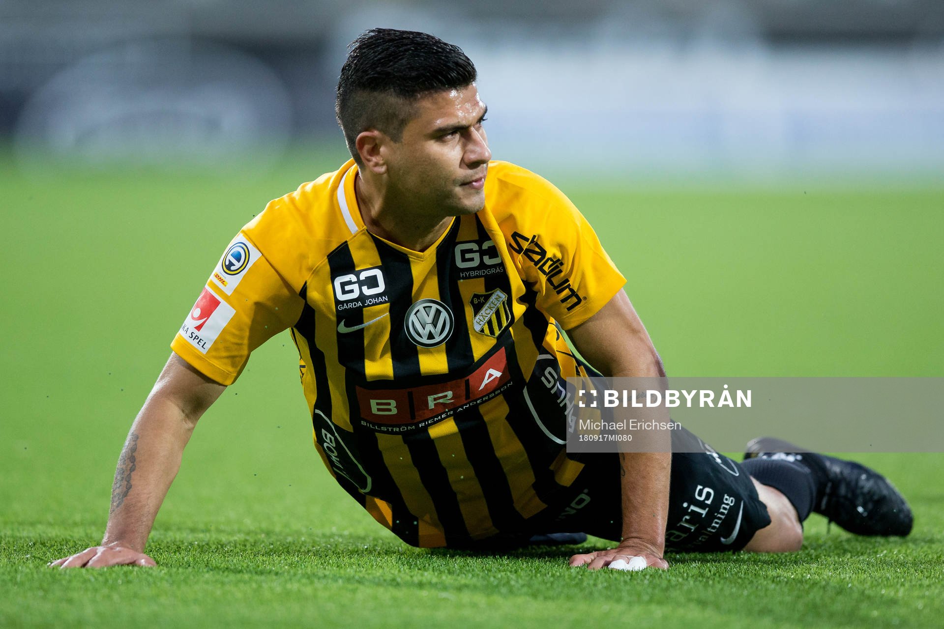 Häckens Paulinho liggande