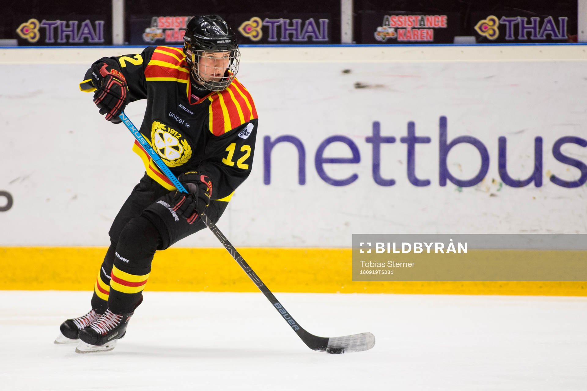 Brynäs Fanny Brolin