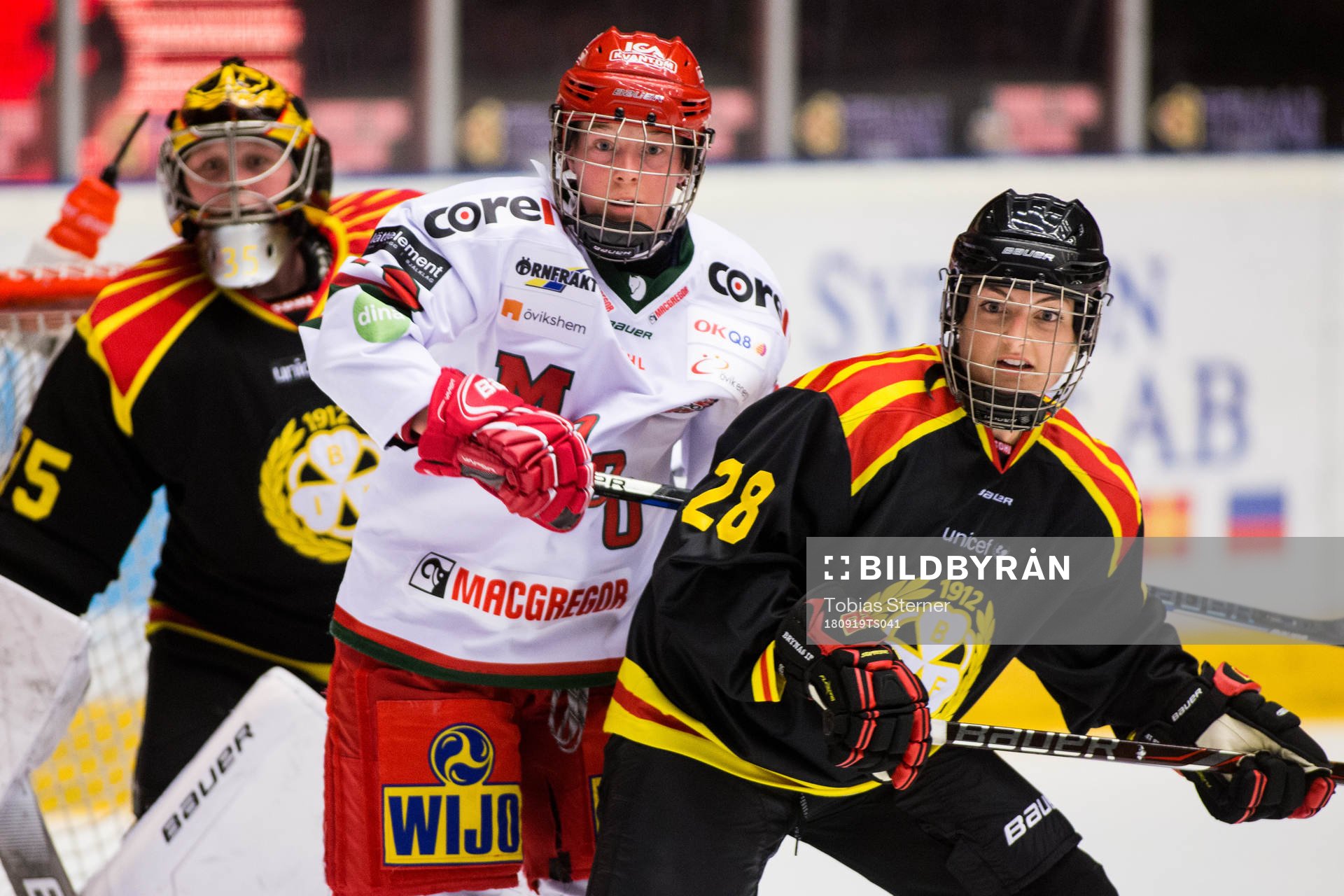 Brynäs Savannah Newton