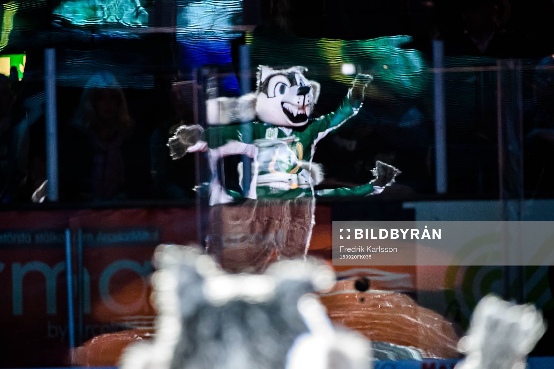 Färjestads maskot Ture Varg innan ishockeymatchen i SHL