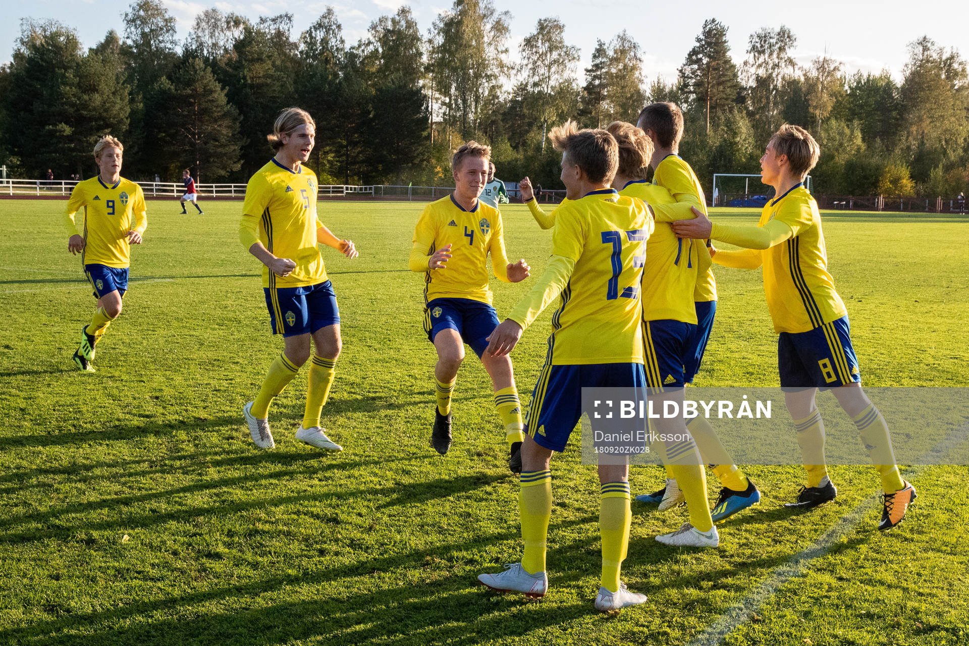 Sveriges spelare jublar