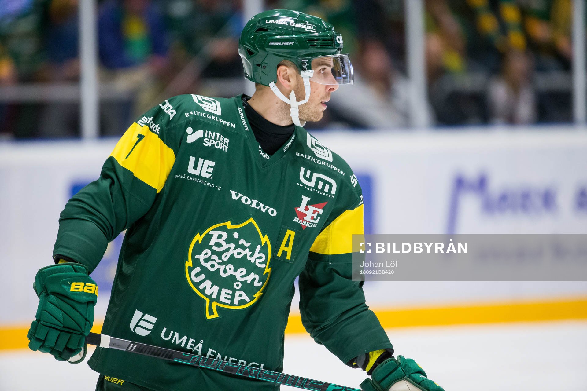 Björklövens Alexander Hellström