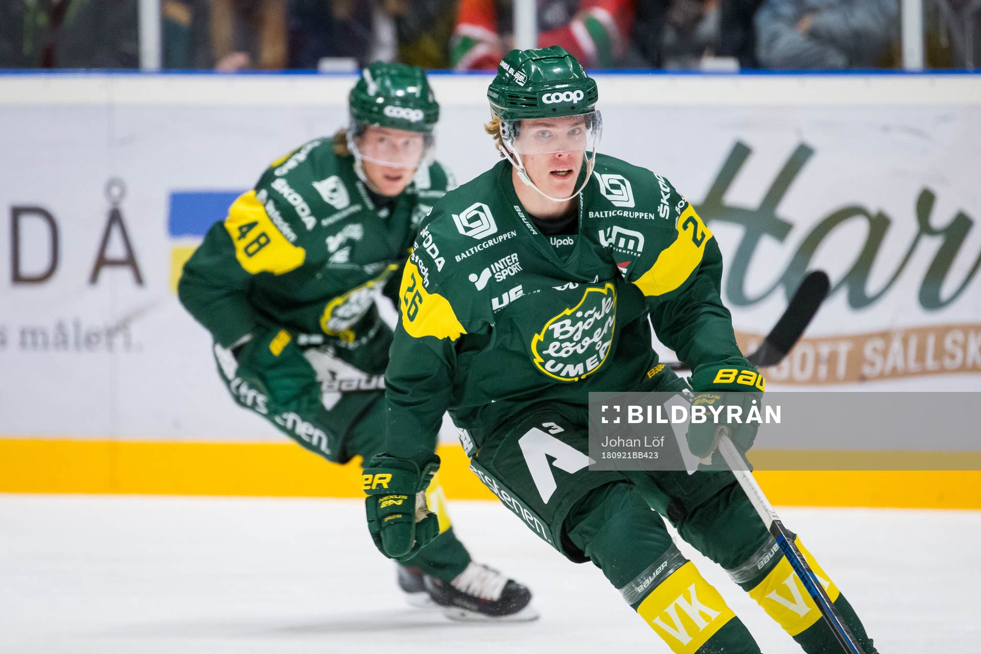 Björklövens Jakob Stenqvist