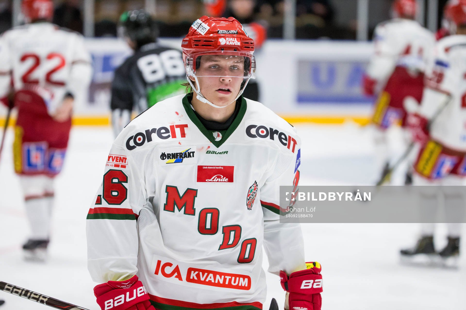Modos Tom Hedberg