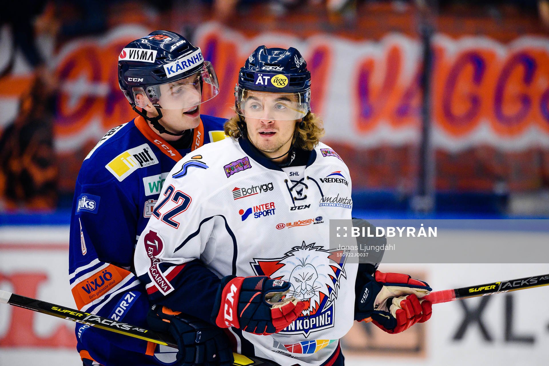 Växjös Linus Högberg pratar med Linköpings Adam Brodecki