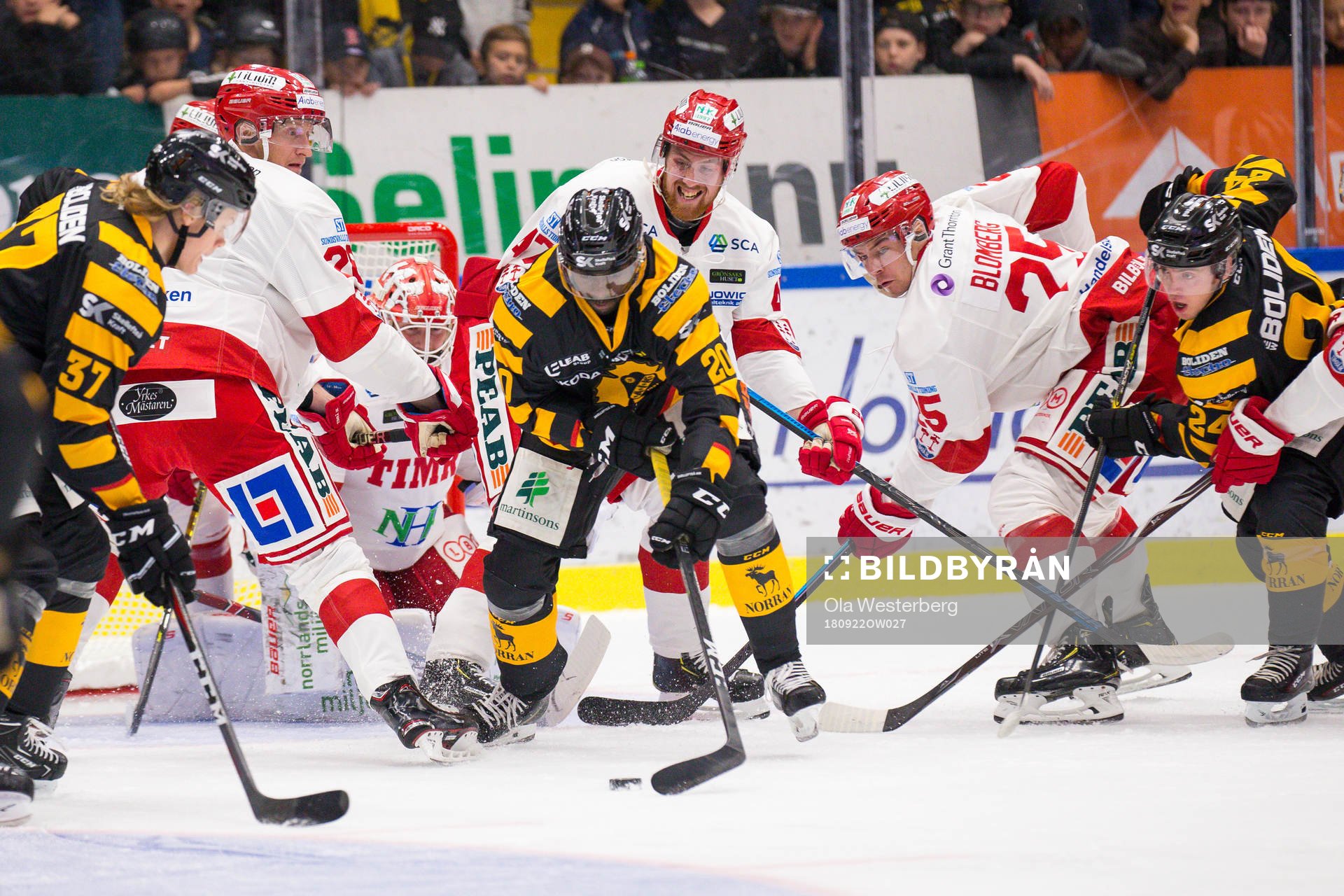 Skellefteås Edwin Hedberg