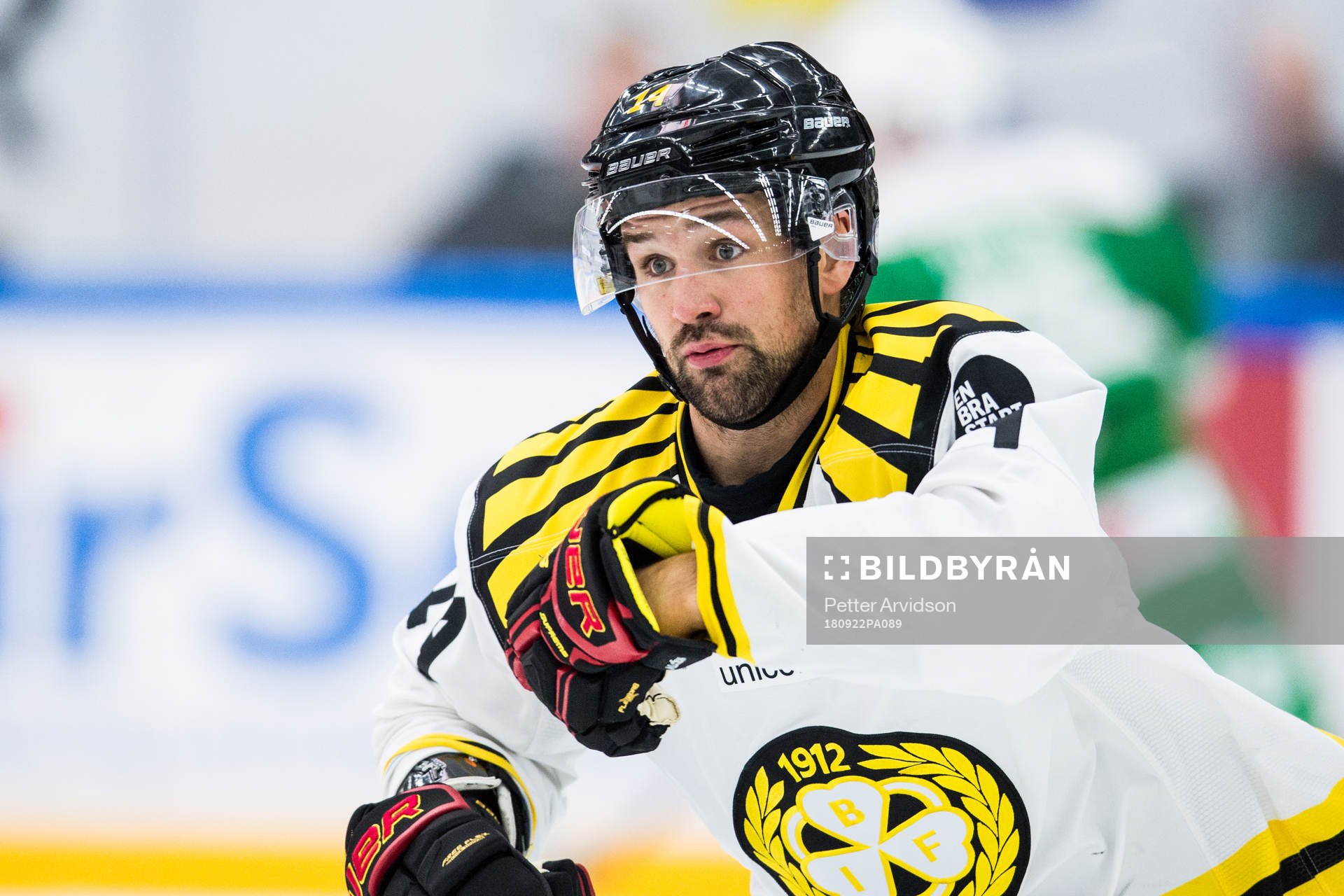 Brynäs Johan Alcén
