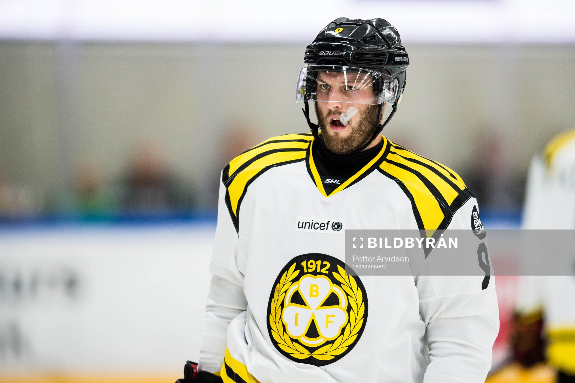 Brynäs Niclas Andersén
