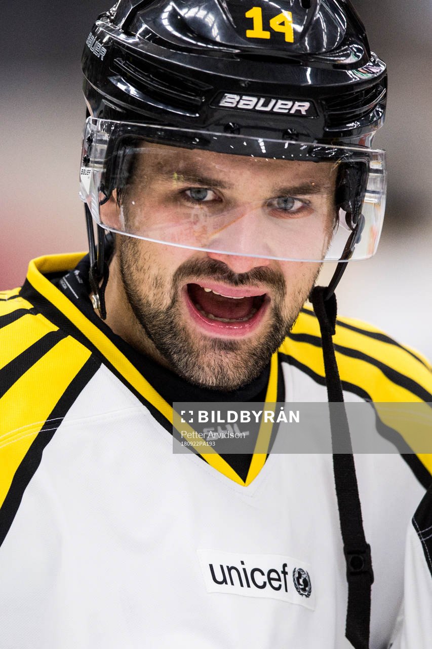 Brynäs Johan Alcén