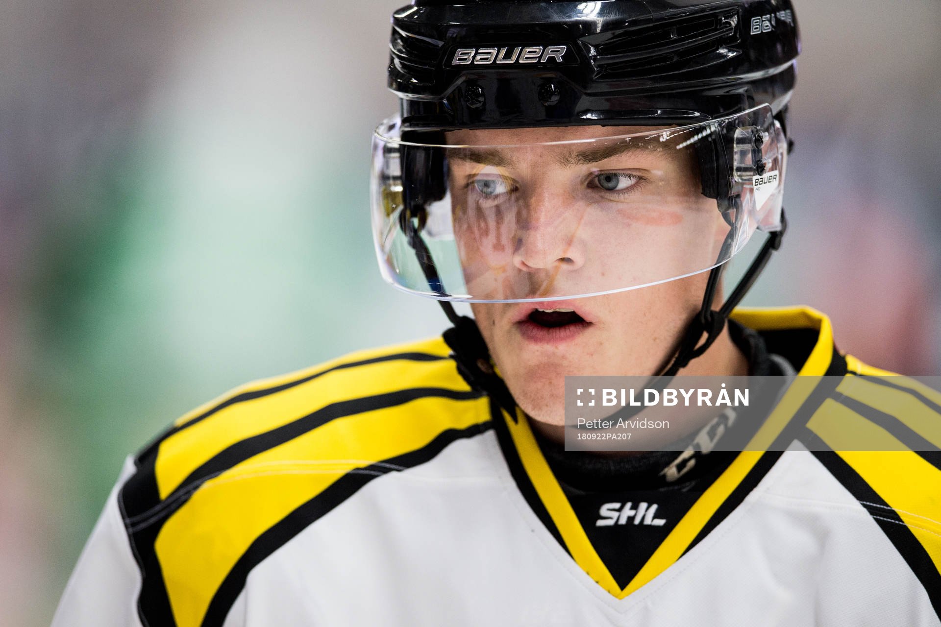 Brynäs Samuel Asklöf