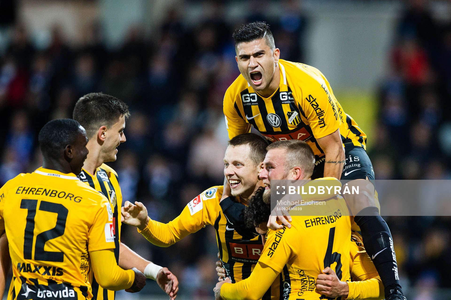 Häckens Daleho Irandust (mitten ej synlig) jublar med