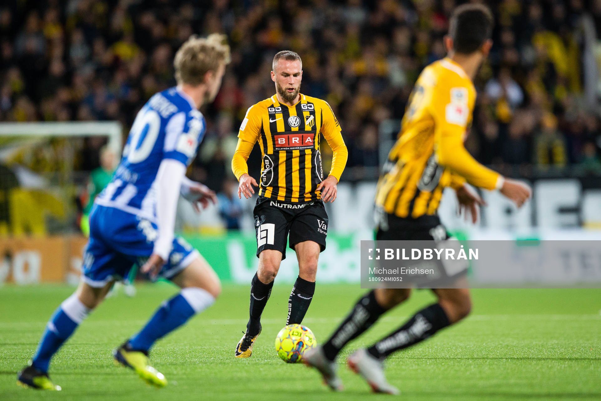 Häckens Alexander Faltsetas